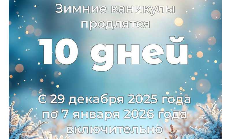Зимние каникулы